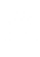 Fire and smoke icon