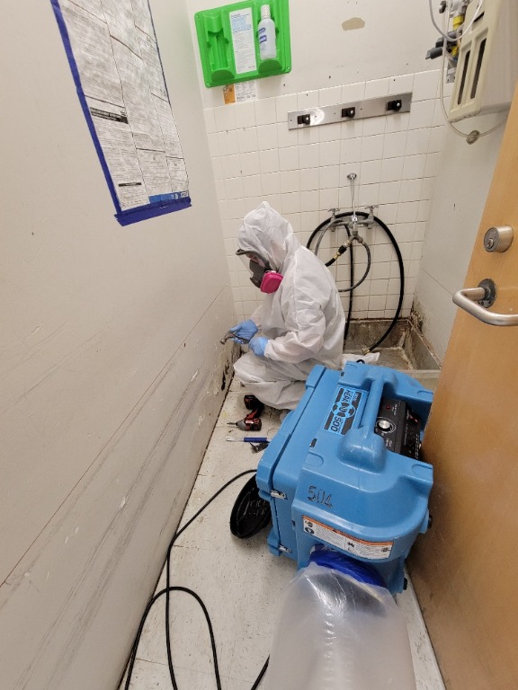 Mold Remediation